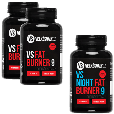 Denní + Noční Spalovač tuku VS Fat Burner 9