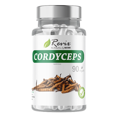 Cordyceps