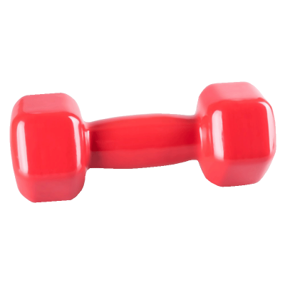 Jednoručka Vinyl Dumbell