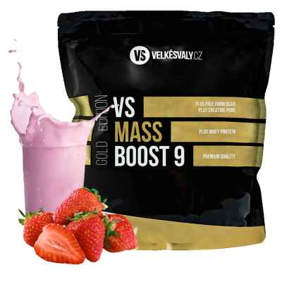 VS Mass Boost 9
