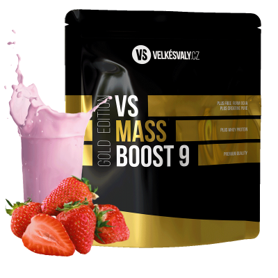 VS Mass Boost 9