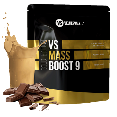 VS Mass Boost 9