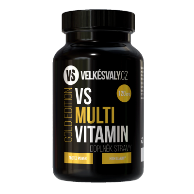 JEN NYNÍ - VS Multivitamin Gold - 120 cps.