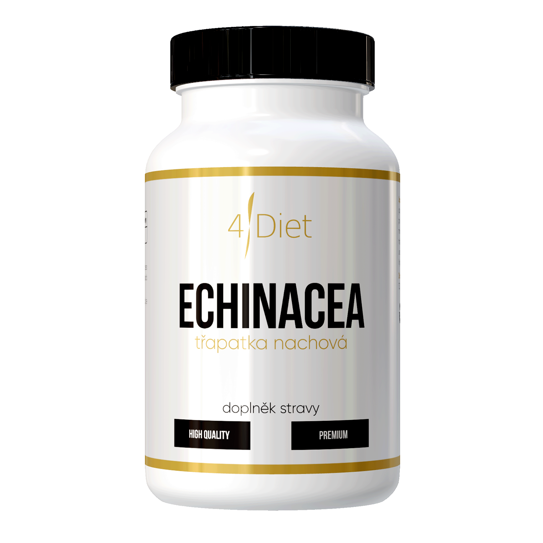 Echinacea